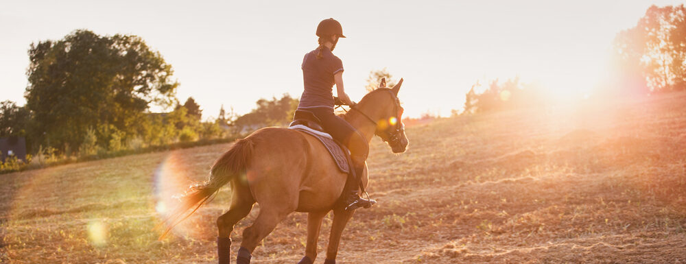 Верховая езда способна улучшить самочувствие пациентов с рассеянным склерозом