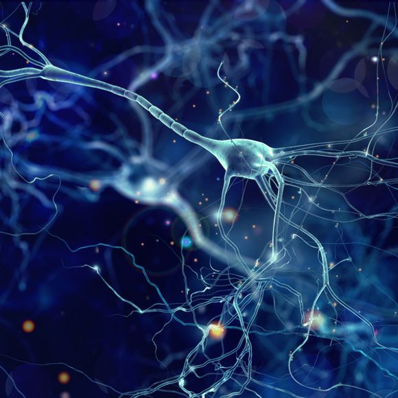 Нейрофиламенты могут быть прогностическим маркером тяжести рассеянного склероза